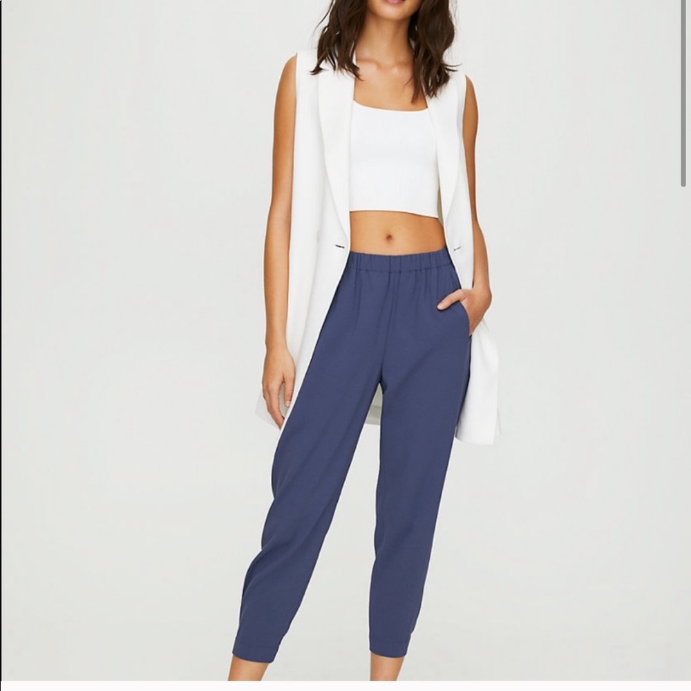 Aritzia Dexter Blue Pants XXS